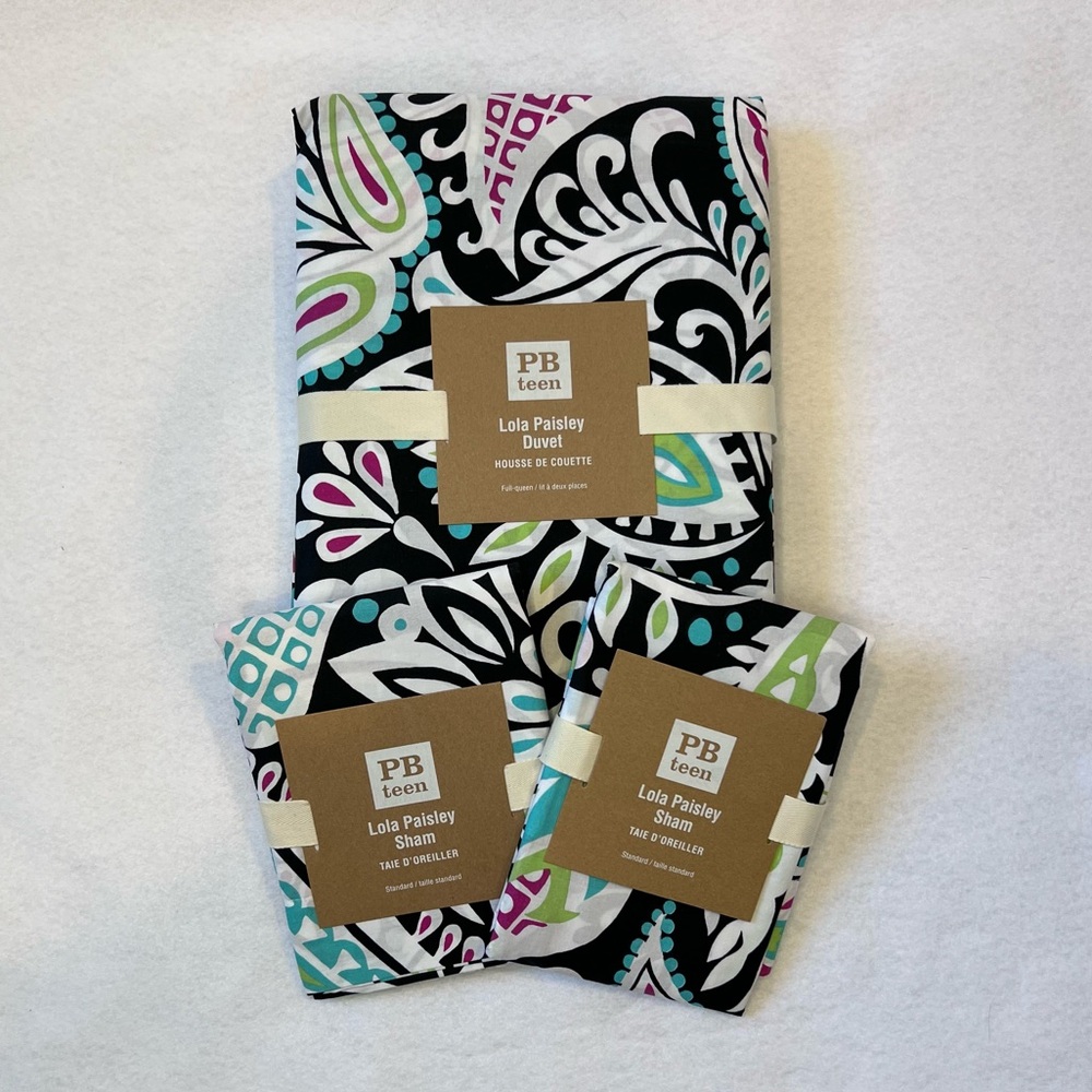 Pottery Barn Teen Lola Paisley Duvet & 2 Shams